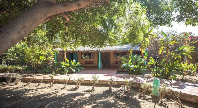 Номер Standard с красивым видом из окна Hotel Oasis