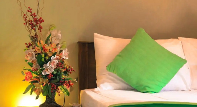 Двухместный номер Standard Airport Green Olive Villa