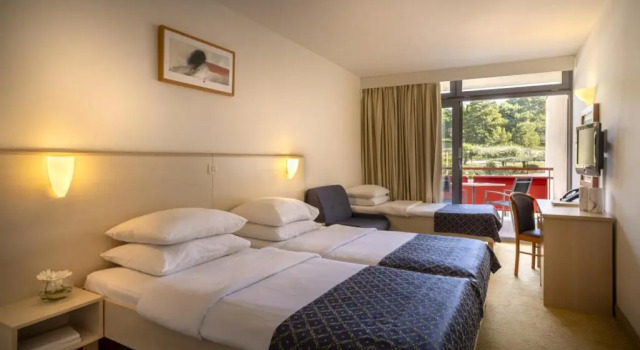 Семейный номер Standard Rubin Hotel