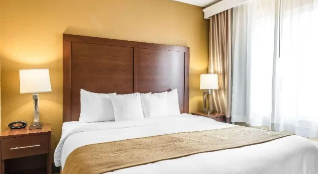 Номер Standard Comfort Suites Tamarac Sawgrass