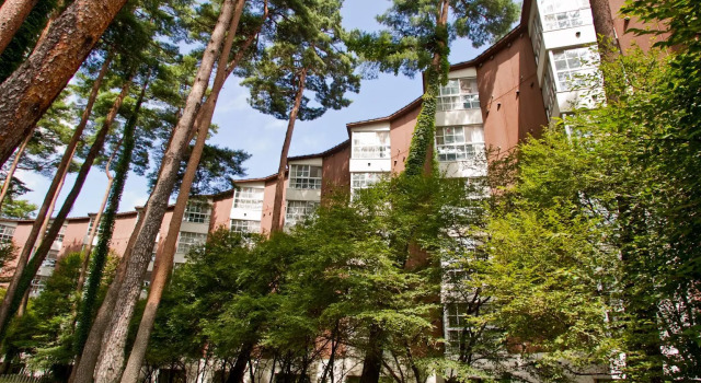 Двухместный номер Standard Fuji Premium Resort