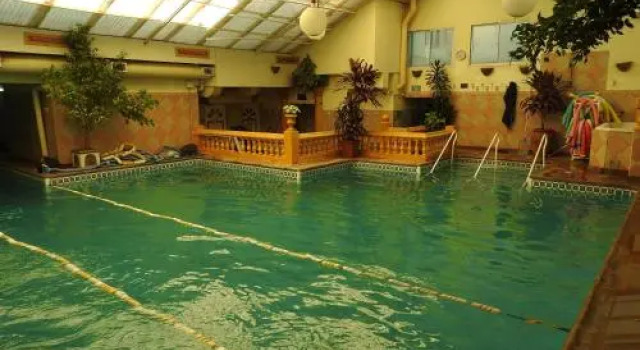 Los Girasoles