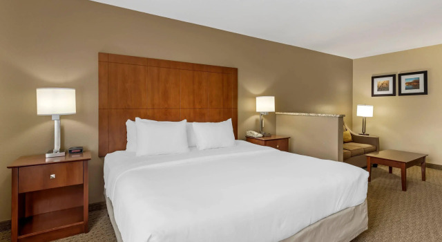 Двухместный люкс Comfort Inn & Suites East Moline near I-80