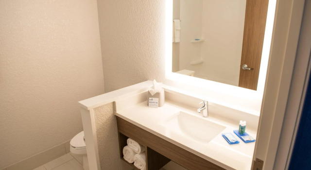 Четырёхместный номер Standard Holiday Inn Express Hotel & Suites East Lansing by IHG