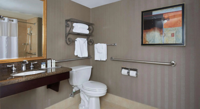 Двухместный номер Accessible DoubleTree by Hilton Dallas Market Center