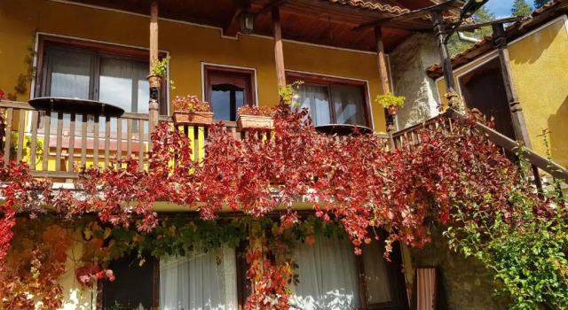 Люкс Dona Guest House - Horse Riding