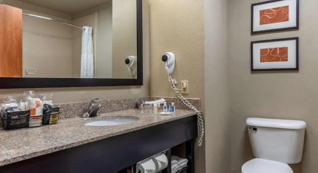 Номер Standard Comfort Inn & Suites Pauls Valley - City Lake