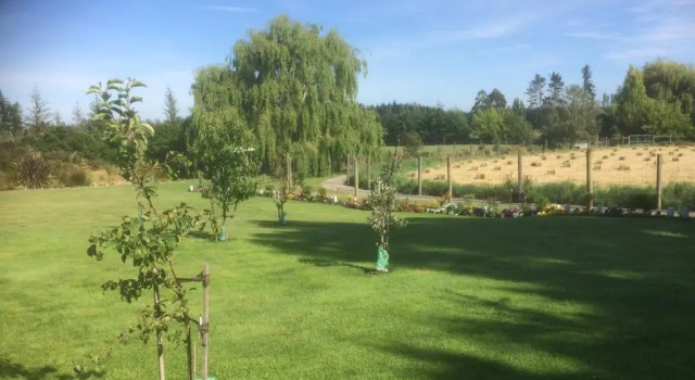 Вилла с 2 комнатами The Meadows Villa