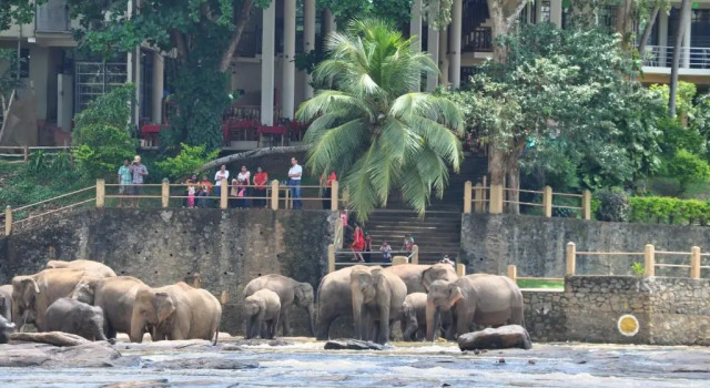 Одноместный номер Superior с видом на реку Hotel Elephant Bay - Worlds Best Place to See the Elephants