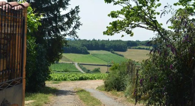 Номер Standard Domaine des Aloets