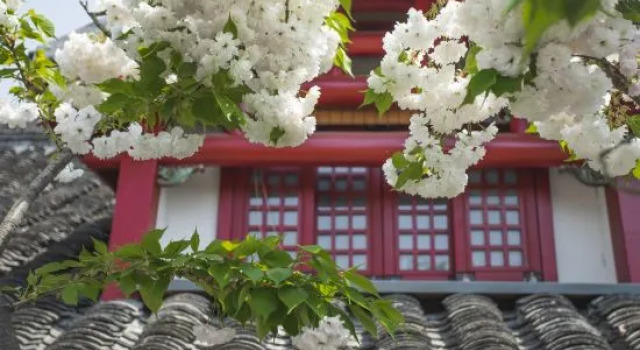 Pinheju | Yanyu Cultural Retreat Hot Spring Resort (Dongguan Street Branch), Prenota Resort Yangzhou Jiangsu