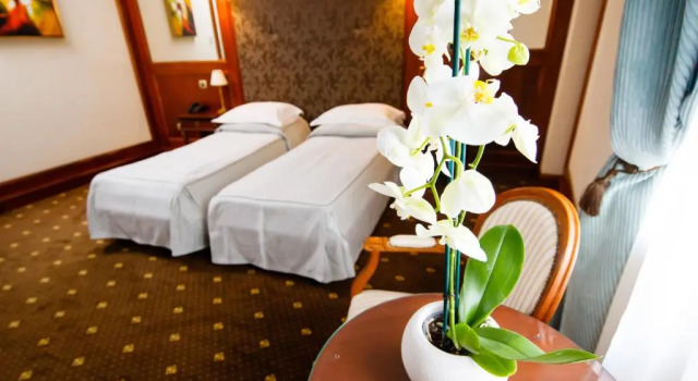 Habitación doble Estándar Hotel Select