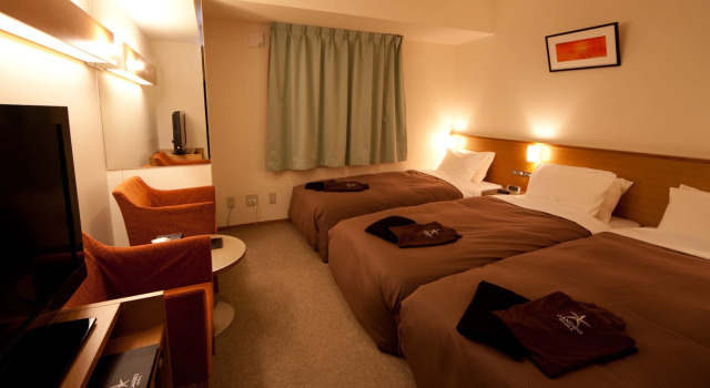 Трёхместный номер Candeo Hotels Ueno Park