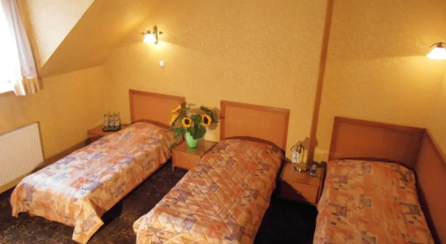 Трёхместный номер Standard Hotel Calisia