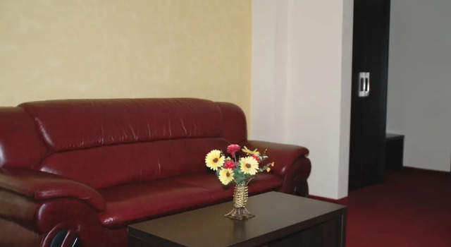 Люкс Business Hotel Ancor