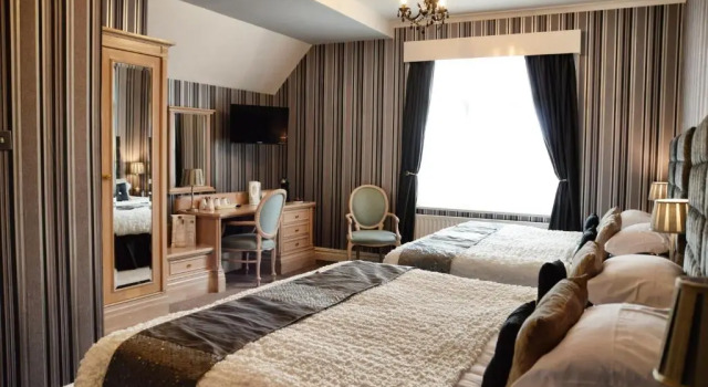 Номер Standard The Hotel Commodore