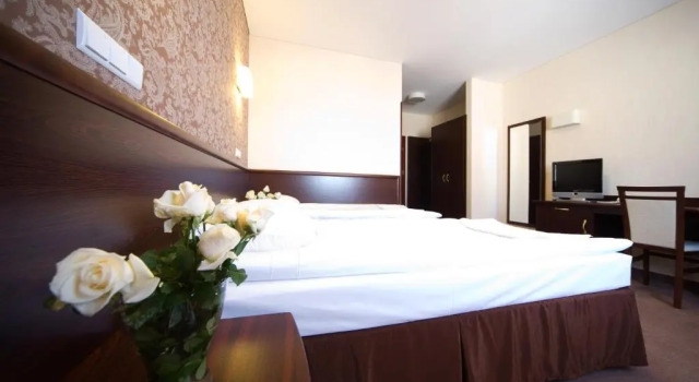 Camera Standard Hotel Centrum