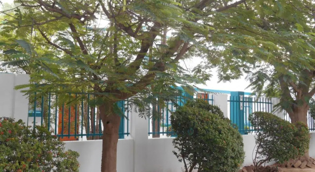 Obesa Lodge