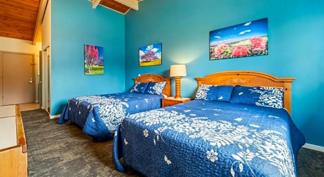 Номер Standard с видом на горы Castle Waimea Country Lodge