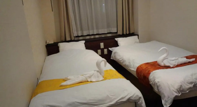 Двухместный номер Economy Ueno Frex Hotel