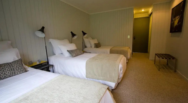 Номер Standard Hotel Lago Grey