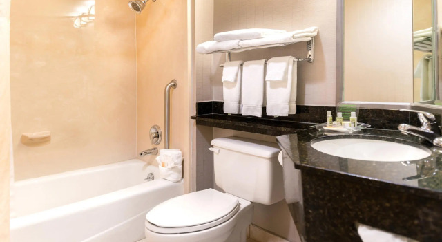 Двухместный люкс Holiday Inn Hotel & Suites Warren by IHG