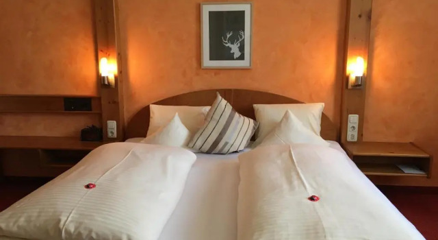 Номер Comfort Hotel Alpin