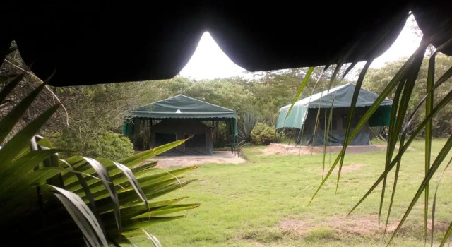 Тент Cactus Eco Camp and Lodge