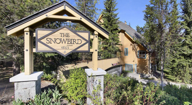 Snowbird