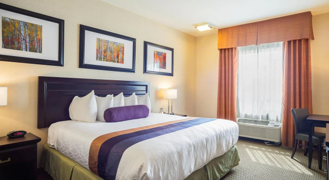 Номер Standard Best Western Plus St Albert