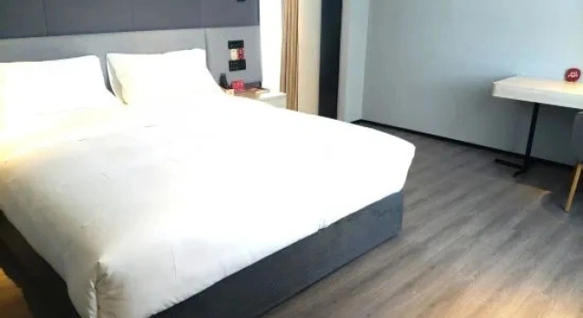 Люкс Business Shankee Hotel