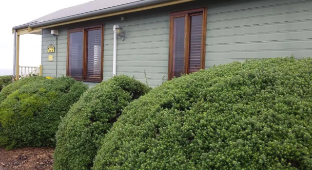 Номер Standard c 1 комнатой Kiama Harbour Cabins