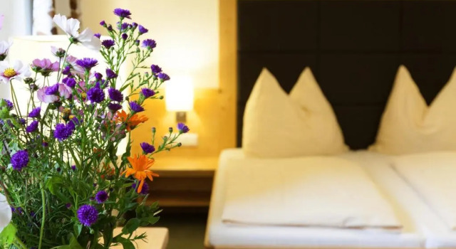 Номер Standard Hotel Ennskraxblick