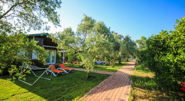 Бунгало с 2 комнатами Cirali Zakkum Bungalow