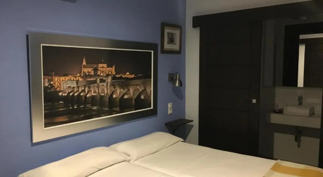 Двухместный номер Standard HOTEL BOUTIQUE ALMA ANDALUSí