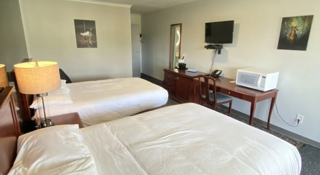 Четырёхместный номер Luxury Bavarian Inn