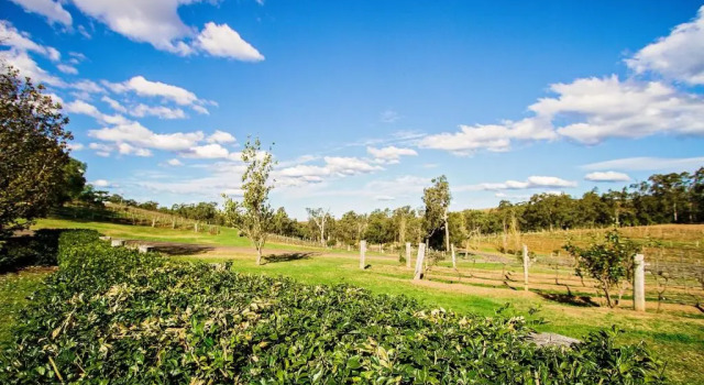 Коттедж Audrey Wilkinson Vineyard