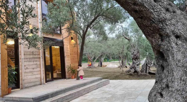 Olea Cottage, Reservar Casa de férias Ulcinj Ulcinj Riviera