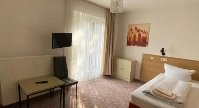 Одноместный номер Standard с видом на сад Hotel Seehaus