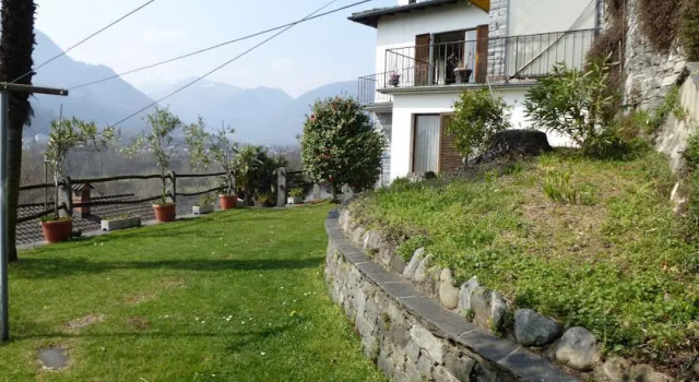 Casa Lady
