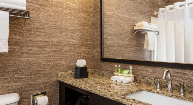 Двухместный номер Standard Wyndham Garden Anchorage Airport