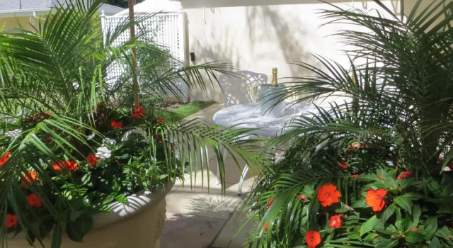 Люкс Luxury Constantia Valley Lodge