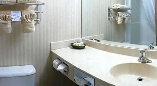 Полулюкс Peavine Inn & Suites