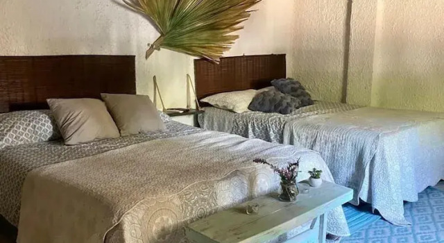 Четырёхместный номер Standard c 1 комнатой Villa Mohana