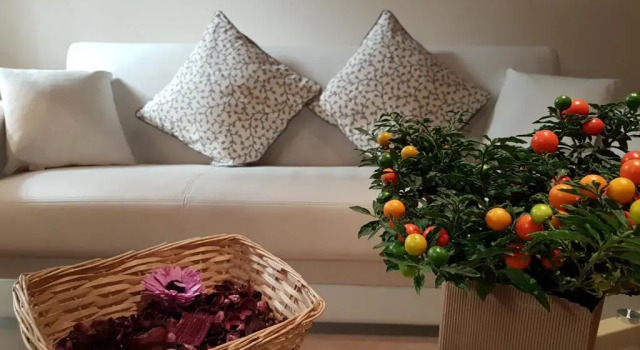 Апартаменты Veronetta lovely apartment