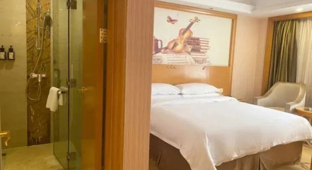 Двухместный люкс Deluxe Vienna International Hotel Yi Yang High tech Zone High speed Railway South Station Branch