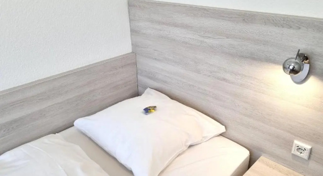 Одноместный номер Standard Adler Hotel Frankfurt