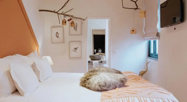 Двухместный номер Classic A Casa Brava