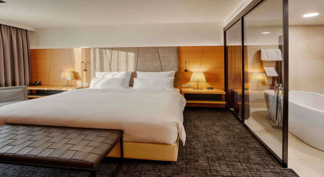 Люкс Executive Radisson Blu Plaza Hotel Ljubljana