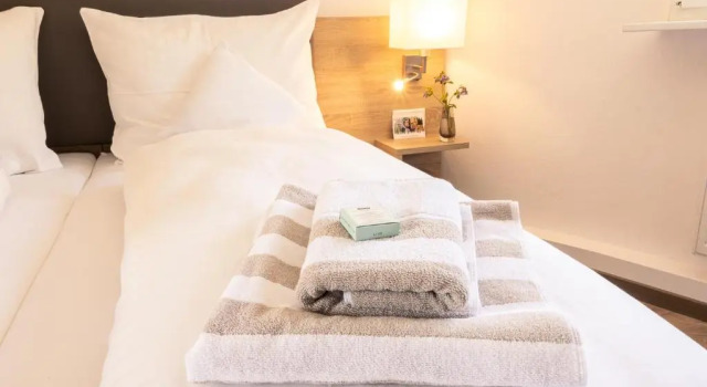 Двухместный номер Standard HeimatHerz Hotel Garni